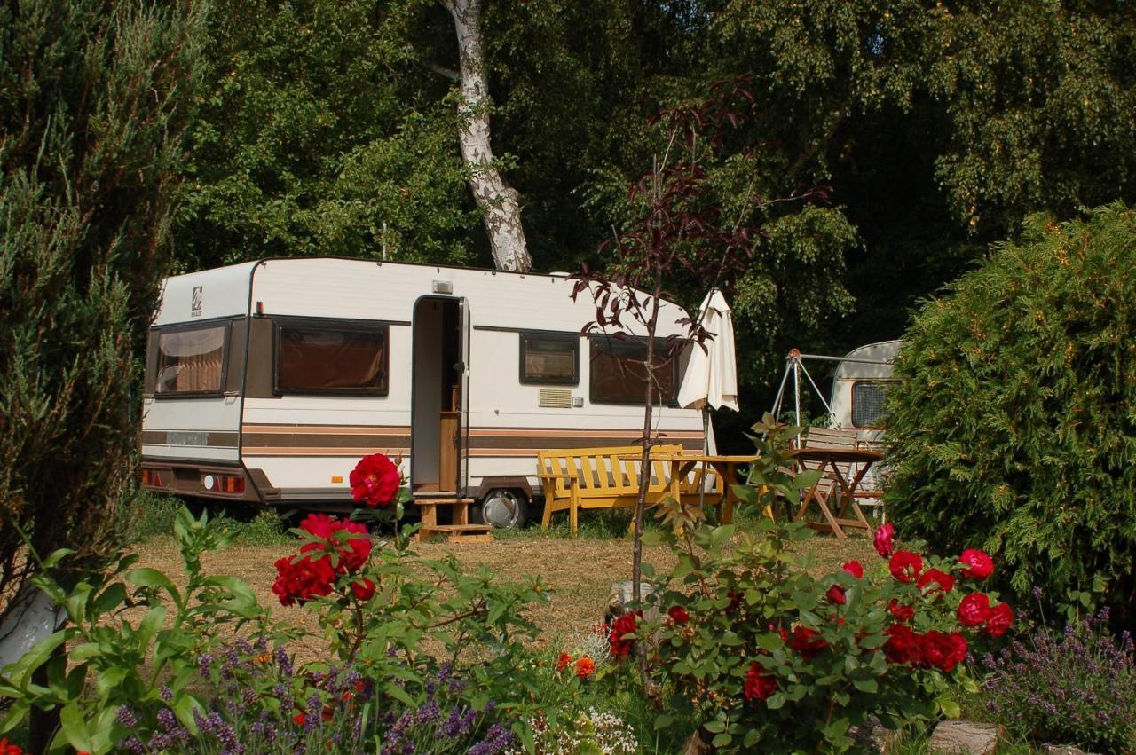 Camping Rogowo Mrzeżyno Esterno foto