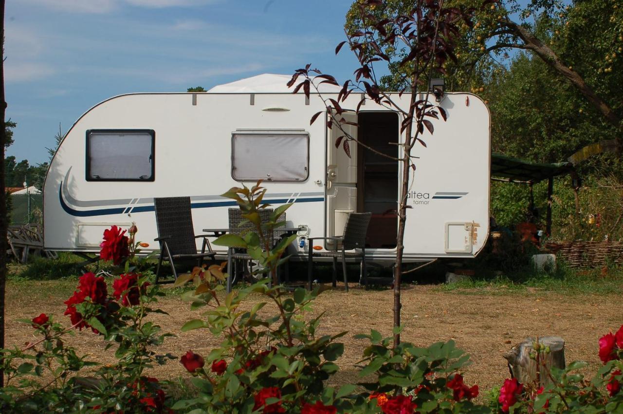 Camping Rogowo Mrzeżyno Esterno foto