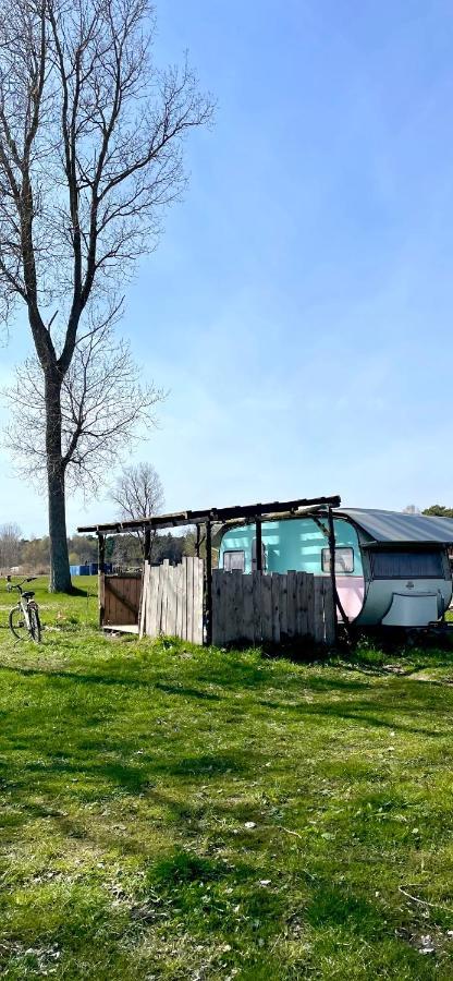 Camping Rogowo Mrzeżyno Esterno foto
