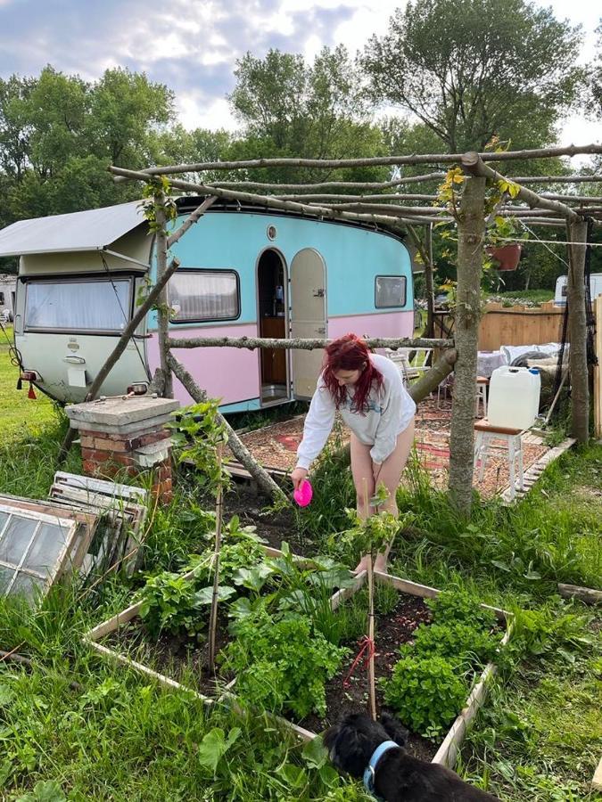 Camping Rogowo Mrzeżyno Esterno foto