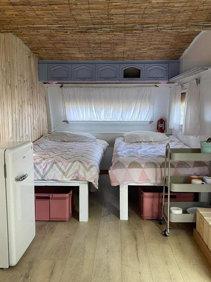 Camping Rogowo Mrzeżyno Esterno foto